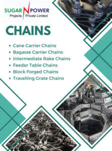 chain-cat